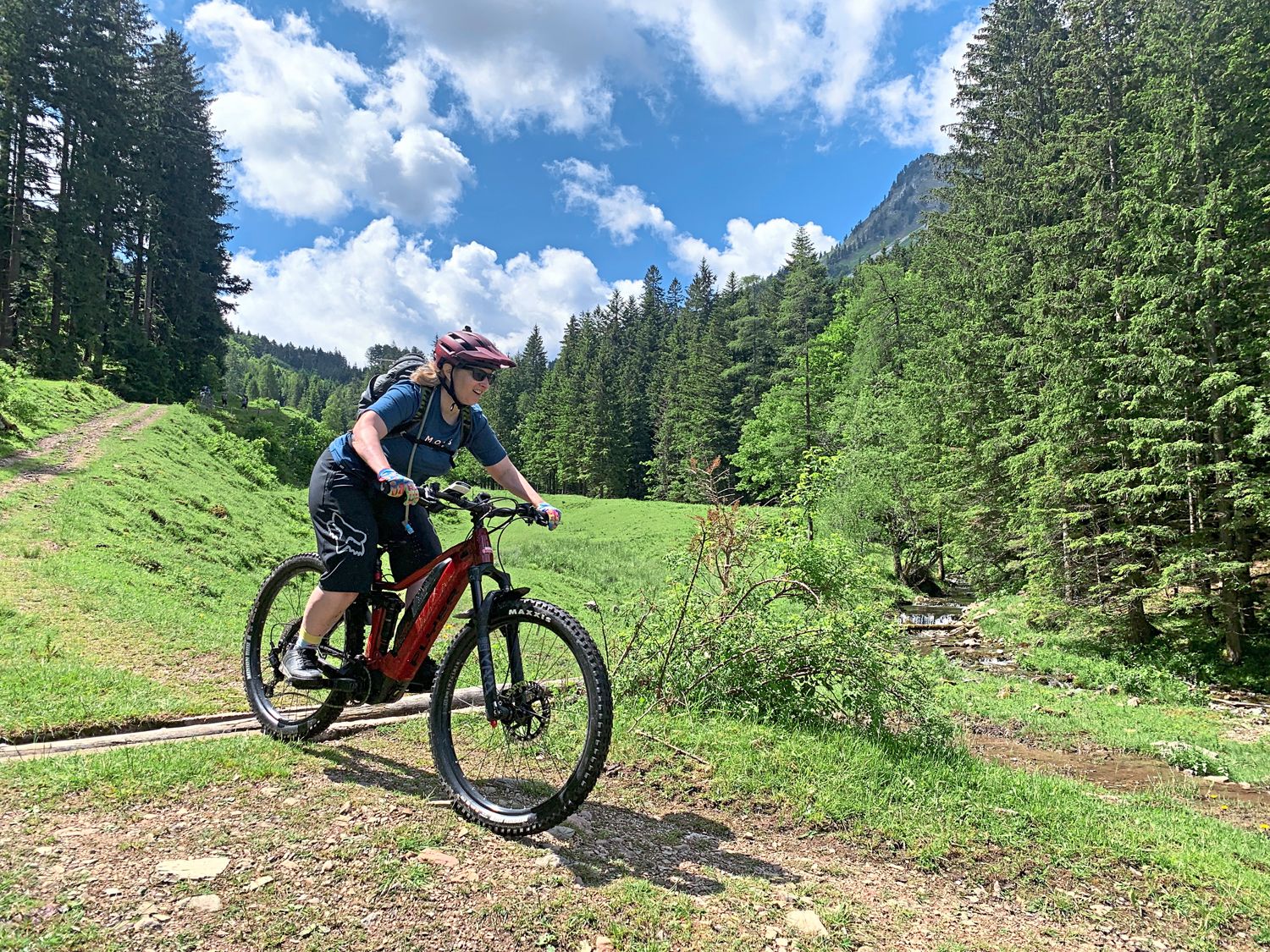 Bild: E-Mountainbike Ferien Salzkammergut